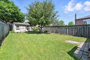 image 2048x1366 27 1