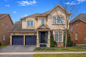 image 1536x1024 50 1